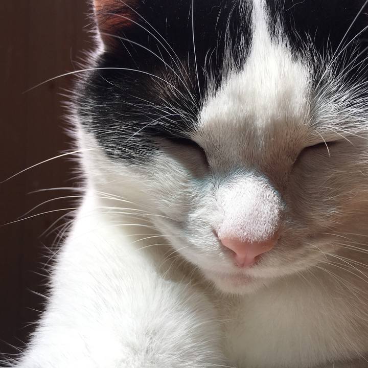 96769cb0 9f7a 43b6 99d1 73bb515bac60