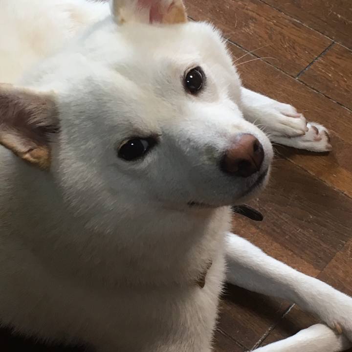 9676d459 2066 4762 86b9 406b18570c00