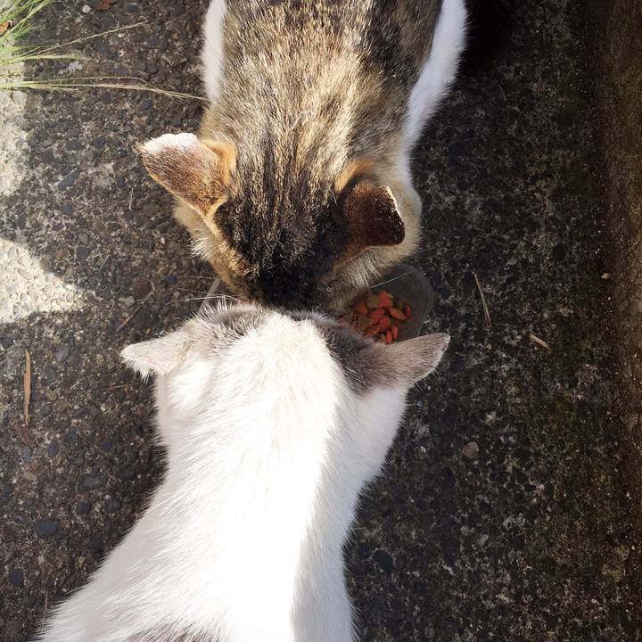 96779968 8c30 4638 bc5a 9979de2fdd10