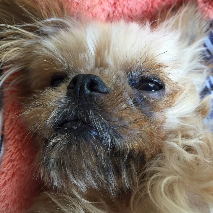 9677a3da 50eb 4ad6 b38b 55850a193e94