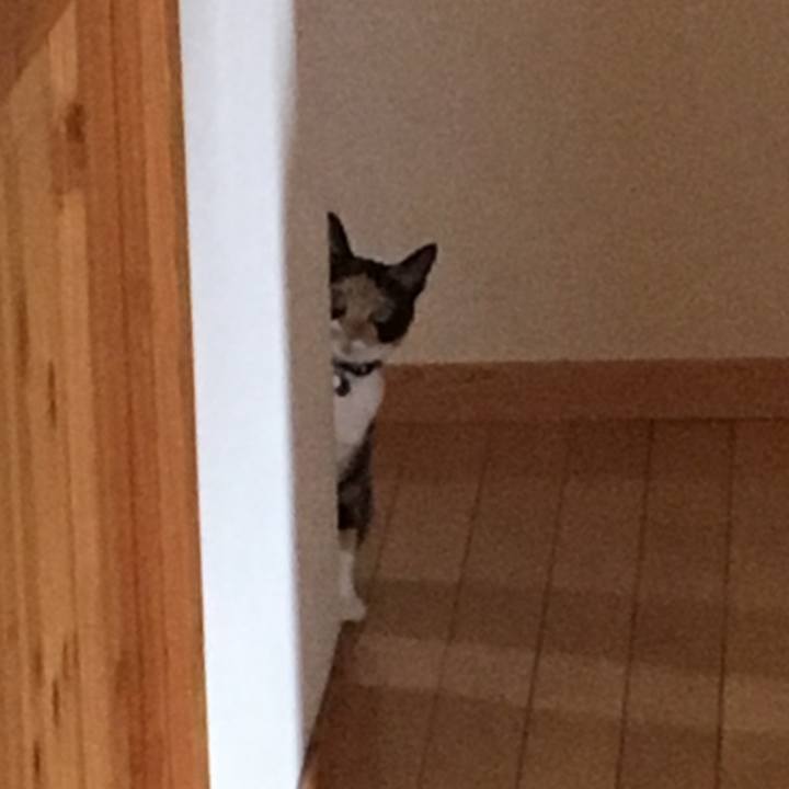 9677e01d 9f56 4eec ab95 7a0c5cfa4bc6