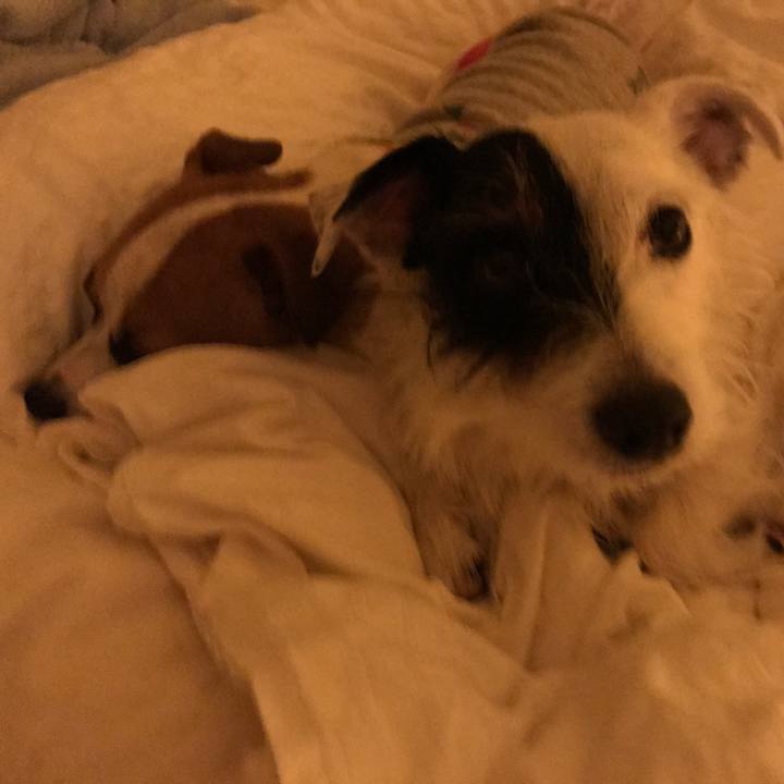 96786dc9 3e5c 4ac7 8359 8c33cd464506