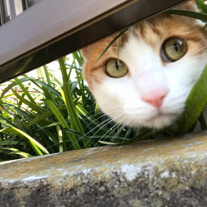 9679a801 57e4 4de5 ab18 5f6755ad378f