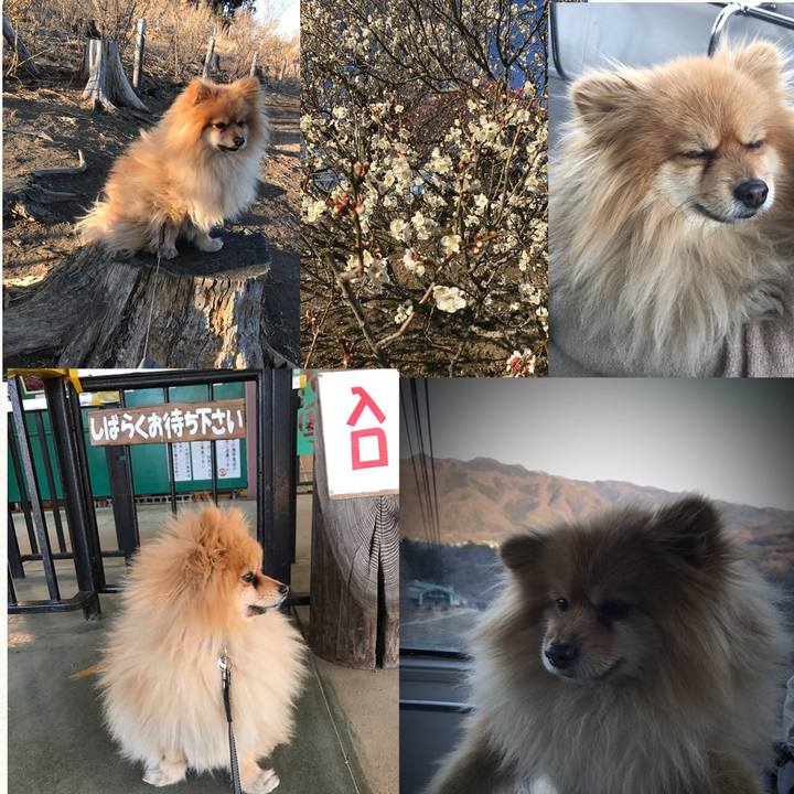 9679b199 3af4 4a69 8fdf c01d2fab987e