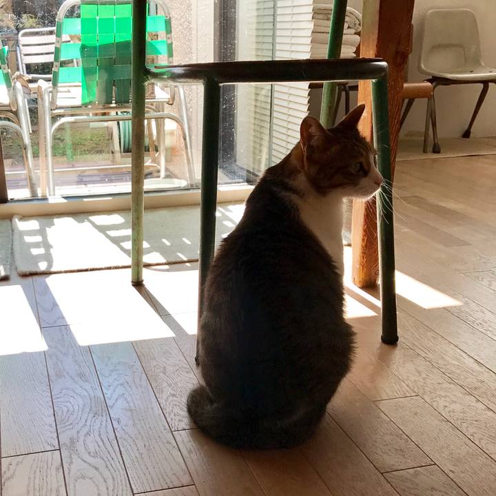 967a0d27 9a6c 4315 96d7 a44d058d07fa