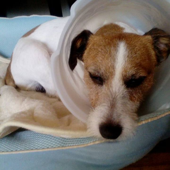 967a1e94 0a7c 4113 a82f d34aa1865b65