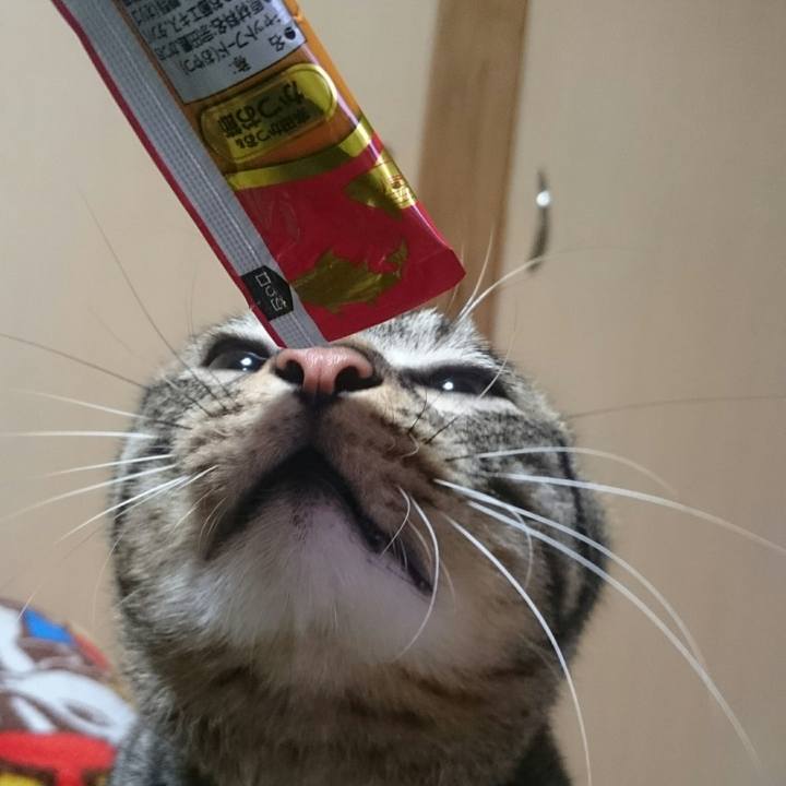 967b0928 6013 41ea a6cf 248b018bd497