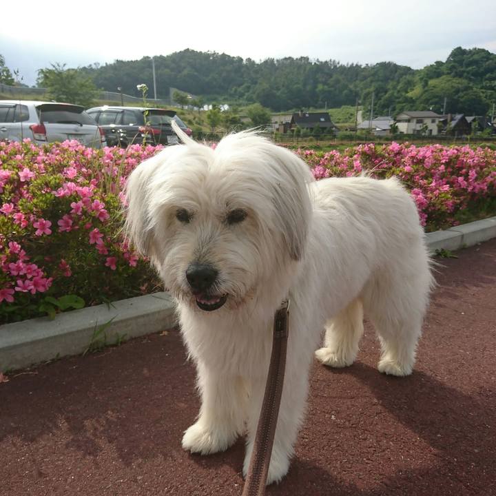 967b5aad 7678 4e87 9b8f c7e51a60b408