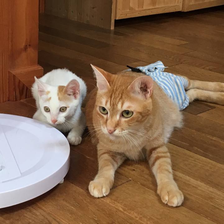 967b6058 2f05 47be 8395 780bca8b7275