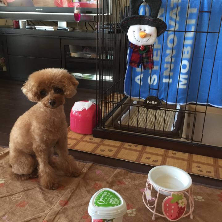 967b9f38 bca1 4419 bb42 d608a133053f