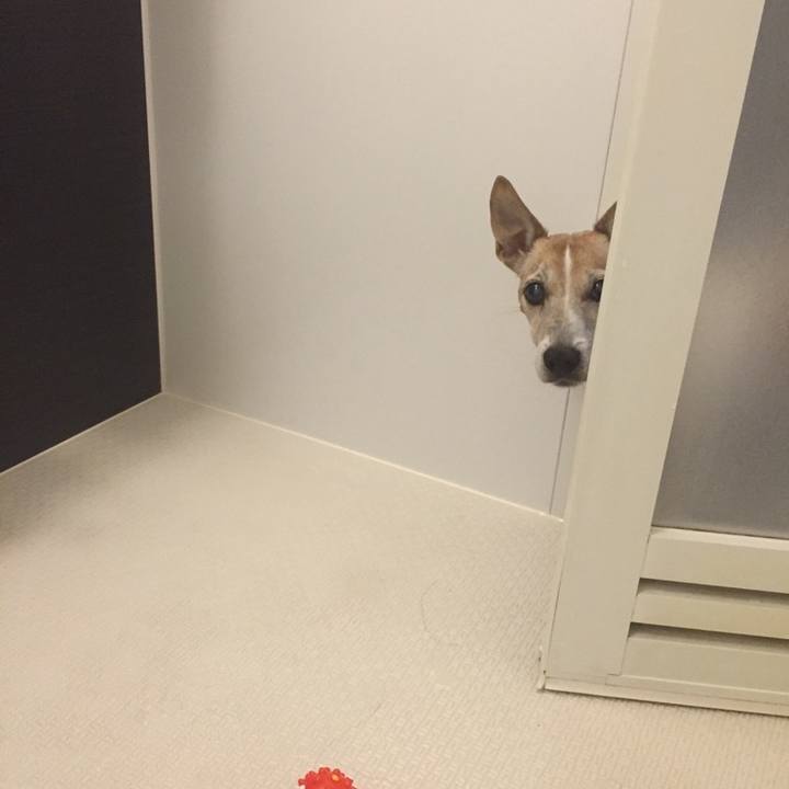 967dcaa4 6a0a 44f5 9e6b 59d95f3d6440