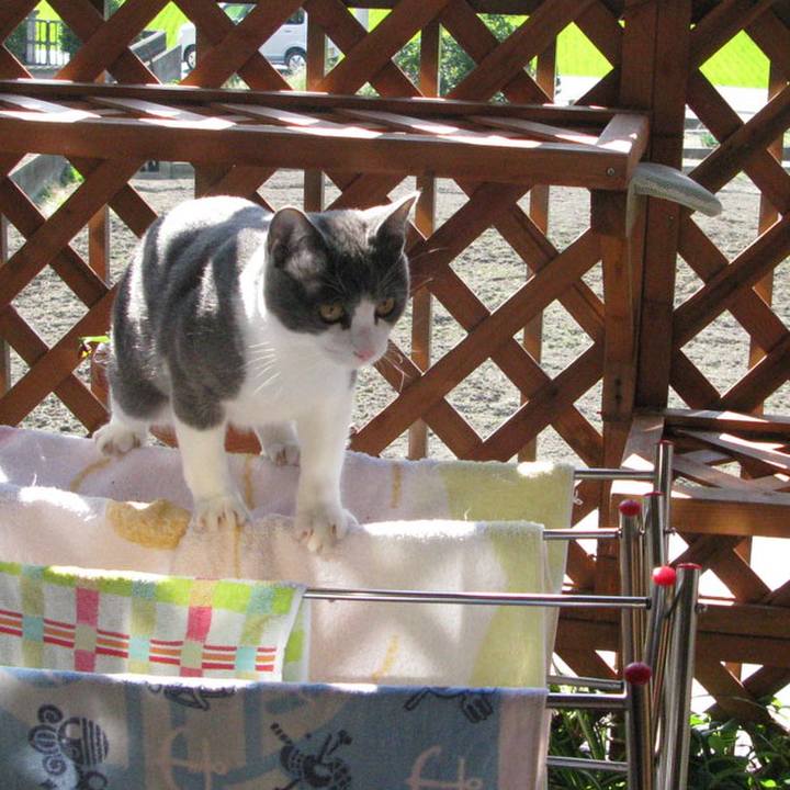 967ddb6e 034b 4781 bdb6 a85a150a3fcf