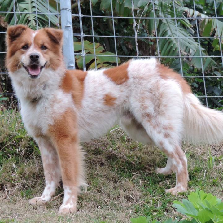 967ecdf0 ded2 48f2 828e c6c290198f31