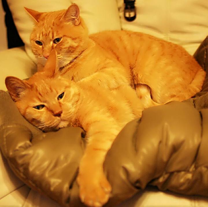 967f0c49 3f32 4428 9cf2 036f510bd905