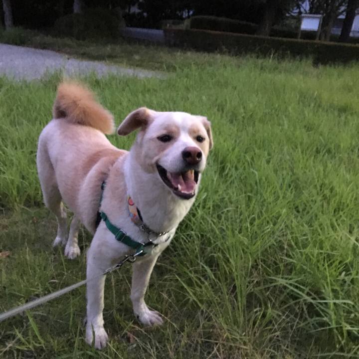 967f13da 8b07 47d8 beda fda1b148c16c