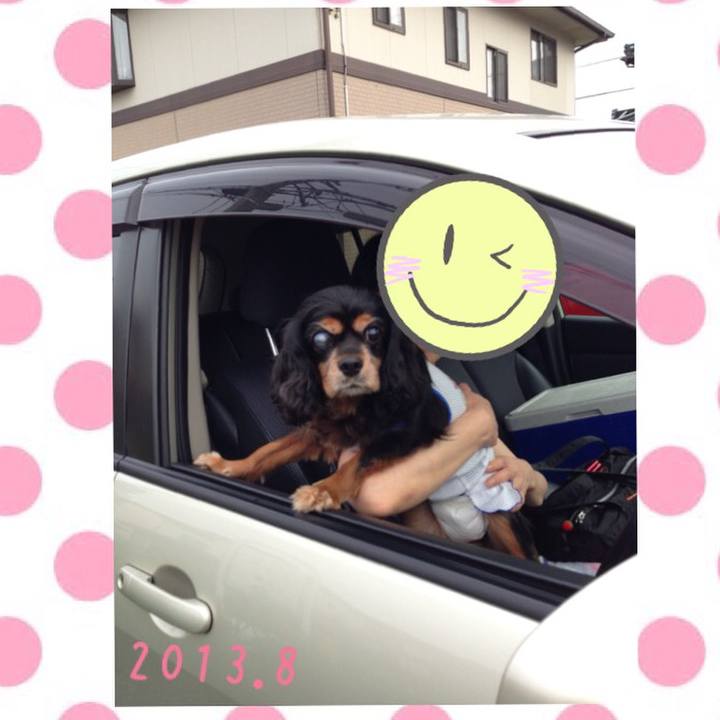 967f4077 8484 4df2 8e93 e7701fc0fac1