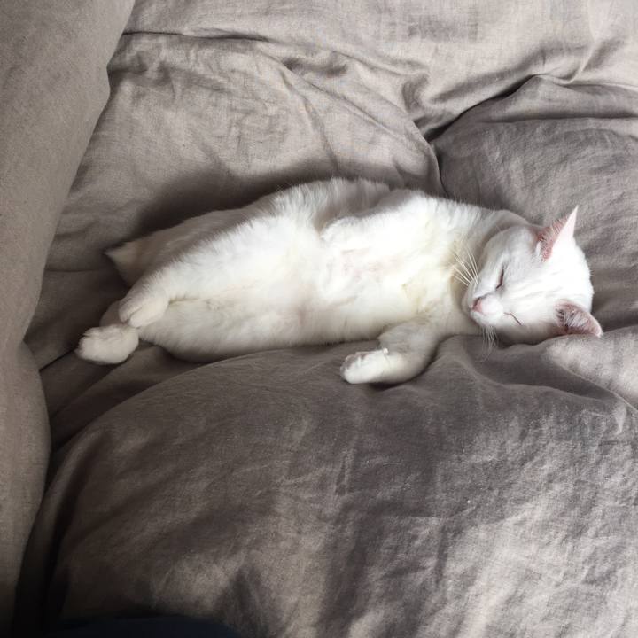 967f722b ee45 427d 8023 c88e8945a515