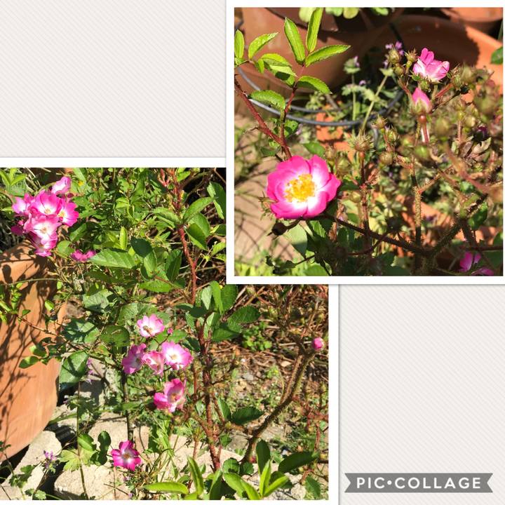 9681085b be40 4436 b7f8 aa5c4ffcdd04