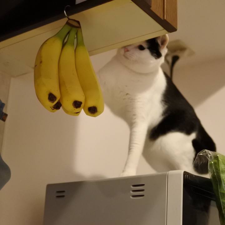 96810c6a 03c7 4243 a249 5597fb5f71f4