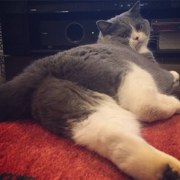 9682626b 6ce8 4c0d be72 a228f18a8a33