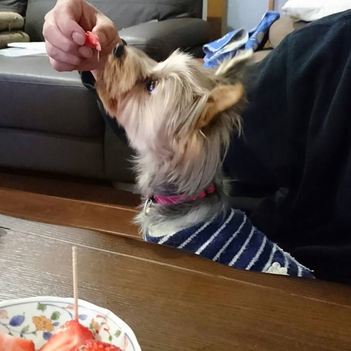 96828644 2d68 44eb 8f3e 3848d1a18f61