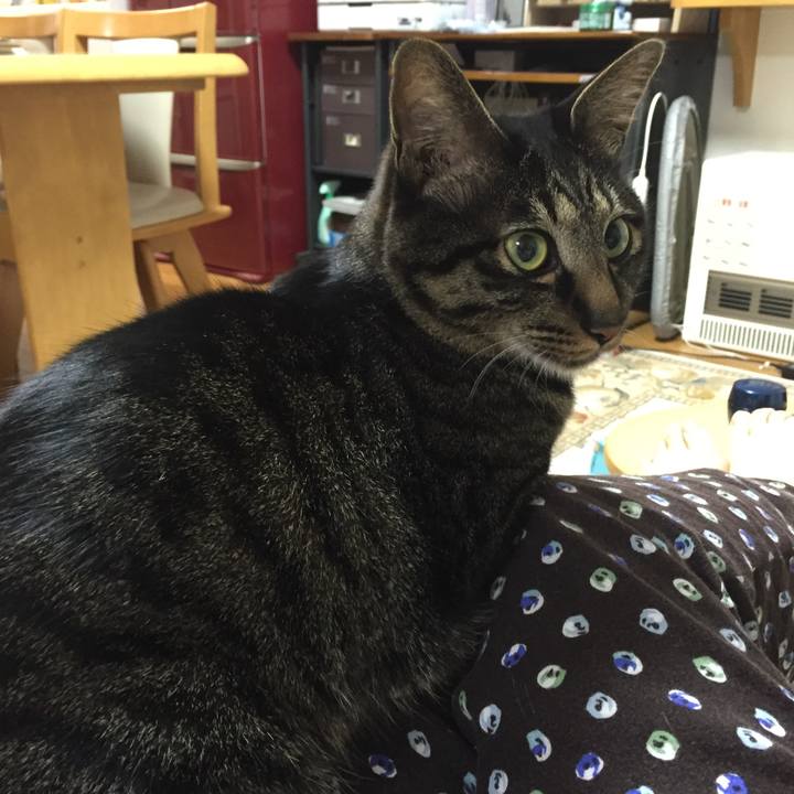 96829602 5548 4817 980e f4c707af9aaf