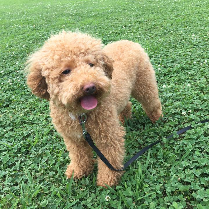 96830550 4abe 4b75 8e46 0c4822aace21