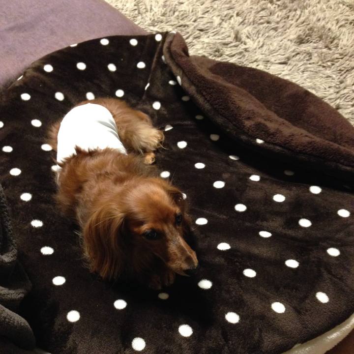 96832e48 c1e8 41b8 883e 813bcfd443bd