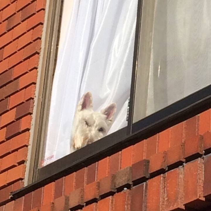 9683372e 377d 4ff4 ae2a b408f653fa2a