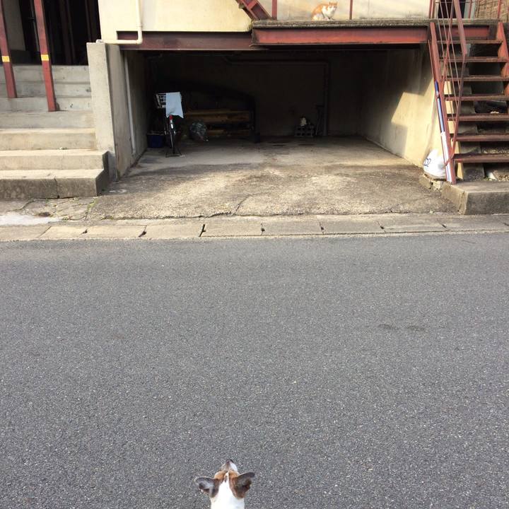 96838ced 5899 4818 90cb 7cfb1a6da1c7