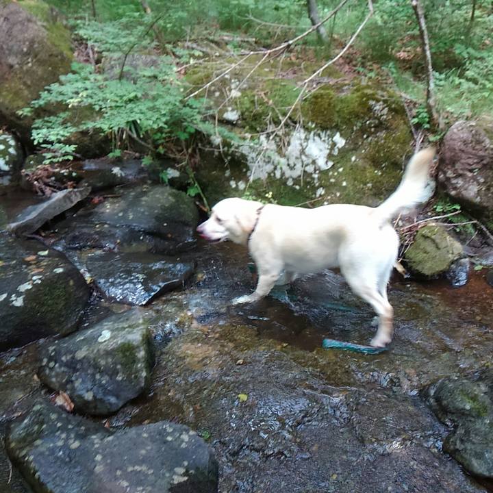 9683fcc4 9305 46d5 80cb 2ef91f7a950c