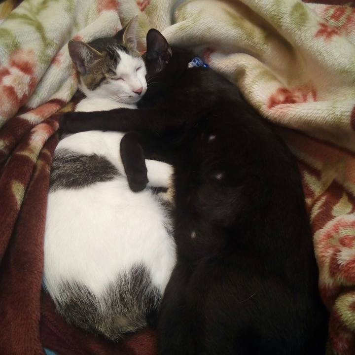 96840733 c5fb 4027 b7cb ae63afb2255e