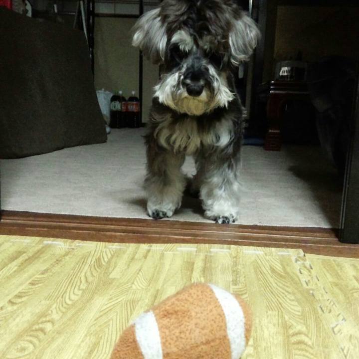 9684874d fd7b 4d04 884b a8b19107ae1d