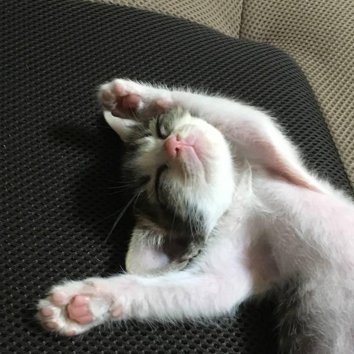 9685b38d acbf 456a a72b 8dc8c66da7d0