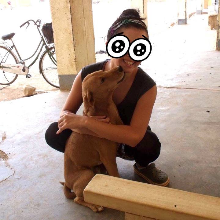 9685ce3a d307 4e02 bdb9 8f56034c749d