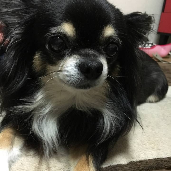 96860b4d 3ced 4066 8148 020902de9934