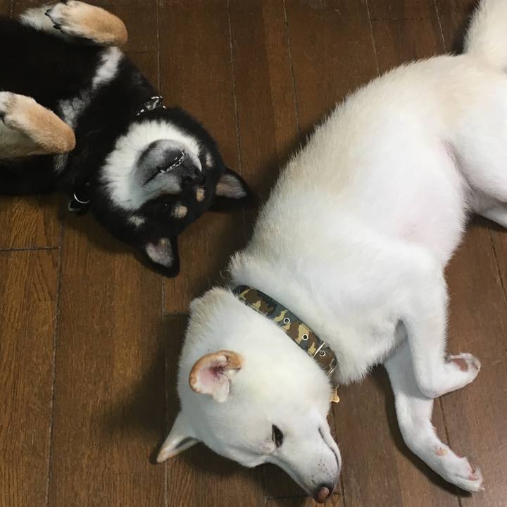 96862f10 7aea 48fe a84c 37857e91d641