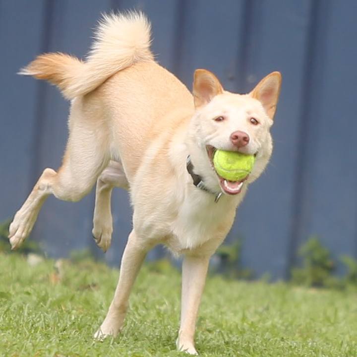 968634b1 0cf5 4182 b164 c01bc479a57e