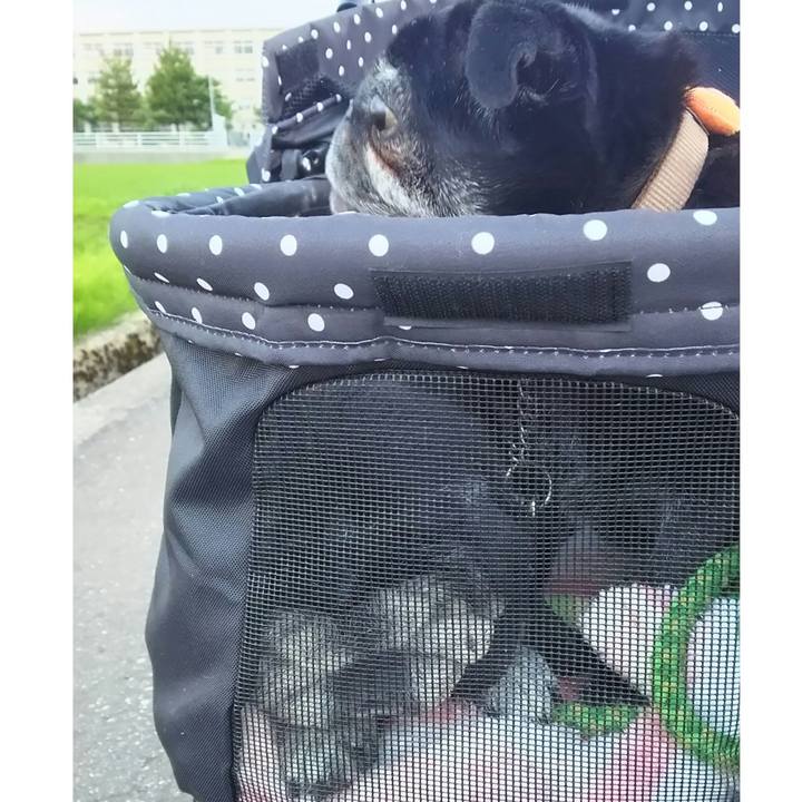 9686ba4e 6644 47d5 a9a4 8f41d22472d9