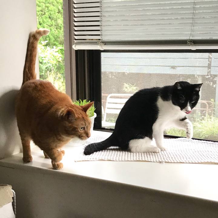 9686ec14 88f2 43d7 98f2 1efb6a651b83