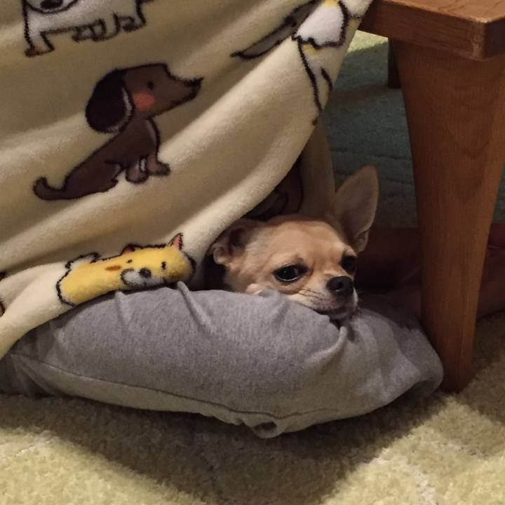 9686fe14 2d38 4235 a2ef 2a97260927ef