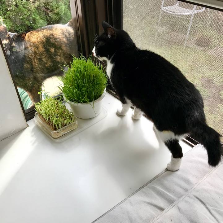 96879188 caed 40c8 bf8f cbda2c20cc7e