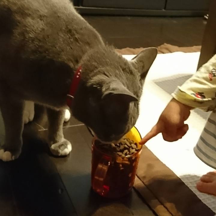 96897e5c 3df6 4c46 ac60 178ddbd12aee