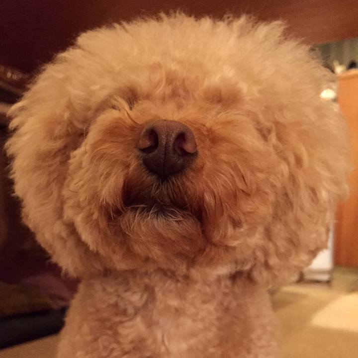 96899476 6081 4402 a75c 773856fd0670