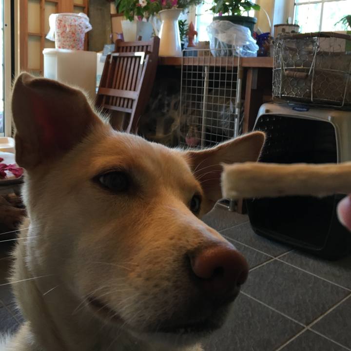 968a6e22 a5ad 4a16 b793 05730526b948