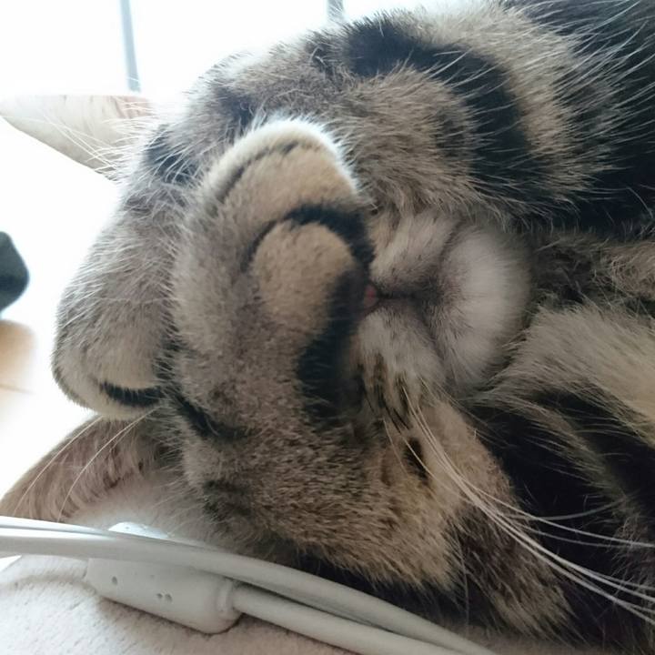 968b3d0b e1a0 4883 bb7f bf5ead6d9457