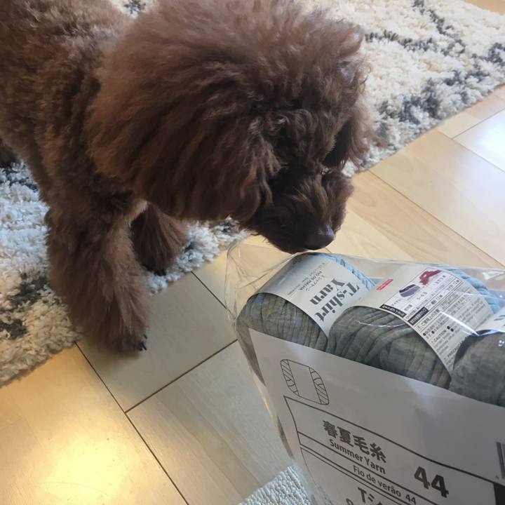 968bbec3 310c 4ce3 9ad6 e7ba9ca72029