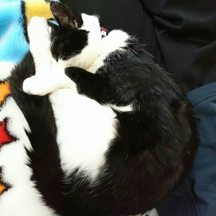 968ea9df 8c71 48c3 8846 99df08389a61