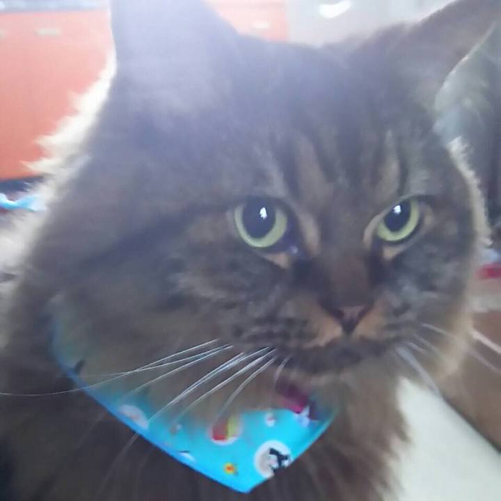 968ece91 1bdf 45cf af13 373f899a95f7