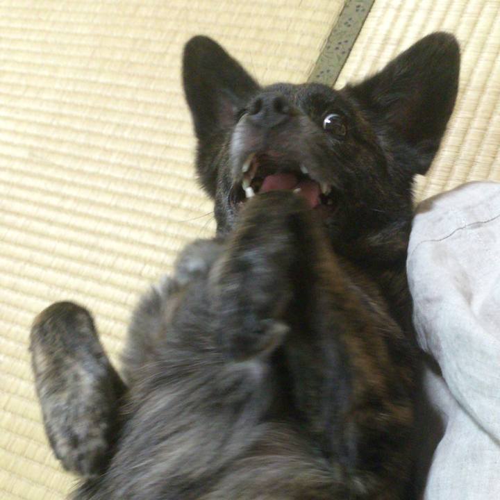 968efb0b 946b 4c35 a9d9 39f38b1efce5